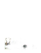 Educa 2X100 Dino World Toys Puzzles And Games Puzzles Classic Puzzles ...