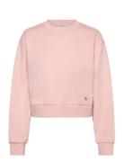 A - Cropped Badge Logo Sweatshir Tops Sweatshirts & Hoodies Sweatshirt...