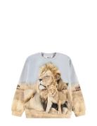 Miksi Tops Sweatshirts & Hoodies Sweatshirts Beige Molo