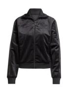 Velvet Tt Sport Women Sport Clothing Sport Sweatshirts & Hoodies Sport...