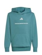 B Fl Hd Tops Sweatshirts & Hoodies Hoodies Blue Adidas Sportswear