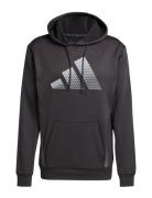 Gg Bl Hd Sport Men Sport Clothing Sport Sweatshirts & Hoodies Sport Ho...