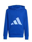 J Bl Ft Hd 280 Tops Sweatshirts & Hoodies Hoodies Blue Adidas Sportswe...