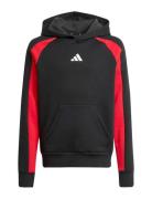 J Cb Fl Hd Sport Sweatshirts & Hoodies Hoodies Black Adidas Sportswear