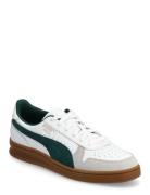 Indoor Sport Women Sport Shoes Sport Sneakers Sport Low Top Sneakers W...