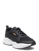 Cassia 2.0 Sport Women Sport Shoes Sport Sneakers Sport Low Top Sneake...
