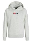 Jjpan Sweat Hood Jnr Tops Sweatshirts & Hoodies Hoodies Grey Jack & J ...