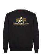 Basic Sweater Carbon Tops Sweatshirts & Hoodies Sweatshirts Black Alph...