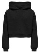 Kogsweat L/S Hoodie Short Swt Noos Tops Sweatshirts & Hoodies Hoodies ...