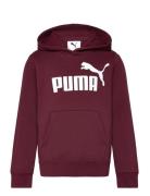 Ess No. 1 Logo Hoodie Fl B Sport Sweatshirts & Hoodies Hoodies Burgund...