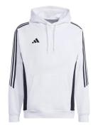 Tiro24 Swhood Sport Men Sport Clothing Sport Sweatshirts & Hoodies Spo...