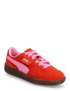 Palermo Sport Women Sport Shoes Sport Sneakers Sport Low Top Sneakers ...