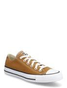 Chuck Taylor All Star Sport Women Sport Shoes Sport Sneakers Sport Low...