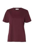Slfmyessential Ss O-Neck Tee Noos Tops T-shirts & Tops Short-sleeved B...