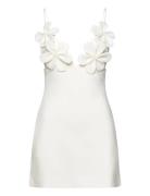 Ingrid Flower Full Cup Dress Kort Kjole White Bardot