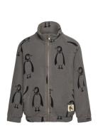 Penguin Aop Fleece Jacket Outerwear Fleece Outerwear Fleece Jackets Gr...