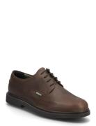 Barbour Carthy Derby Shoe Shoes Business Derby Shoes Brown Barbour