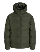 Jjesoho Puffer Hood Sn Foret Jakke Khaki Green Jack & J S