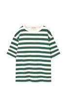 Stripes Freen Collie T-Shirt Tops T-Kortærmet Skjorte Green THE ANIMAL...
