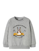 Nmmroval Ls Sweat Bru Box Tops Sweatshirts & Hoodies Sweatshirts Grey ...