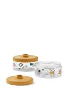 Dominique Baby Food Tritan Boxes 500 Ml 2-Pack Home Meal Time Lunch Bo...