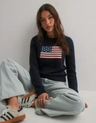 Polo Ralph Lauren - Blå - Flag Cn-Long Sleeve-Pullover