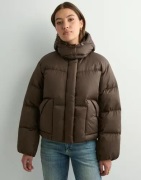 Levi's - Brun - Western Bubble Shortie