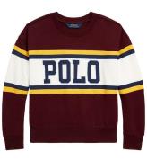 Polo Ralph Lauren Sweatshirt - Cheer Bubble - Bordeaux m. Hvid