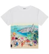 Molo T-shirt - Raveno - Shore Sharks