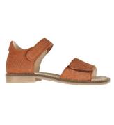 Wheat Sandaler - Tasha - Amber Brown