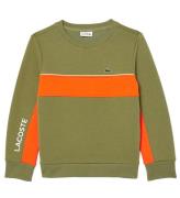 Lacoste Sweatshirt - Khaki/Bouy