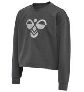 Hummel Sweatshirt - Cropped - hmlCinco - GrÃ¥