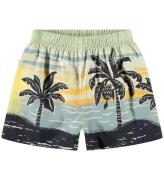 Molo Shorts - Solar - Palm Babynanas