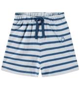 Molo Shorts - Skie - Lagoa Stripe