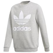 adidas Originals Sweatshirt Trefoil - Grå/Hvid Børn