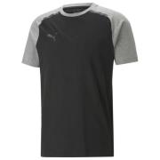 PUMA T-Shirt teamCUP Casuals - Sort/Grå