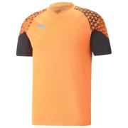 PUMA Trænings T-Shirt IndividualCUP - Orange/Sort