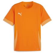 PUMA Trænings T-Shirt teamGOAL - Orange/Hvid