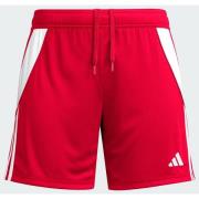 Adidas Tiro 24 shorts