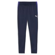 Puma individualLIGA Training Pants Men